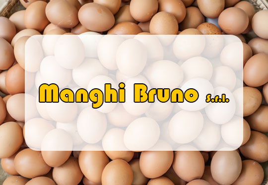 Manghi Bruno S.r.l.